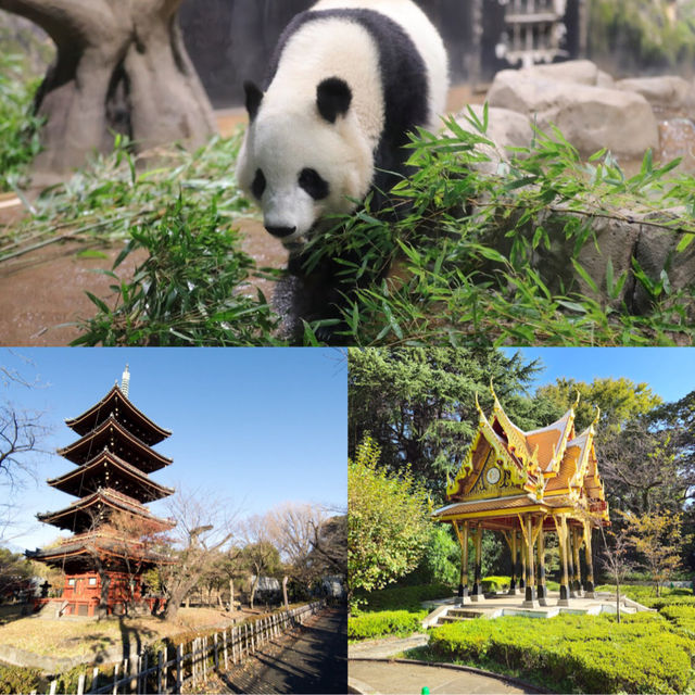 「東京上野動物園：古老動物園，適合家庭遊覽和學校教育」