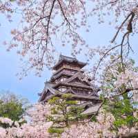 Feeling Blissful in Kyoto 🌸