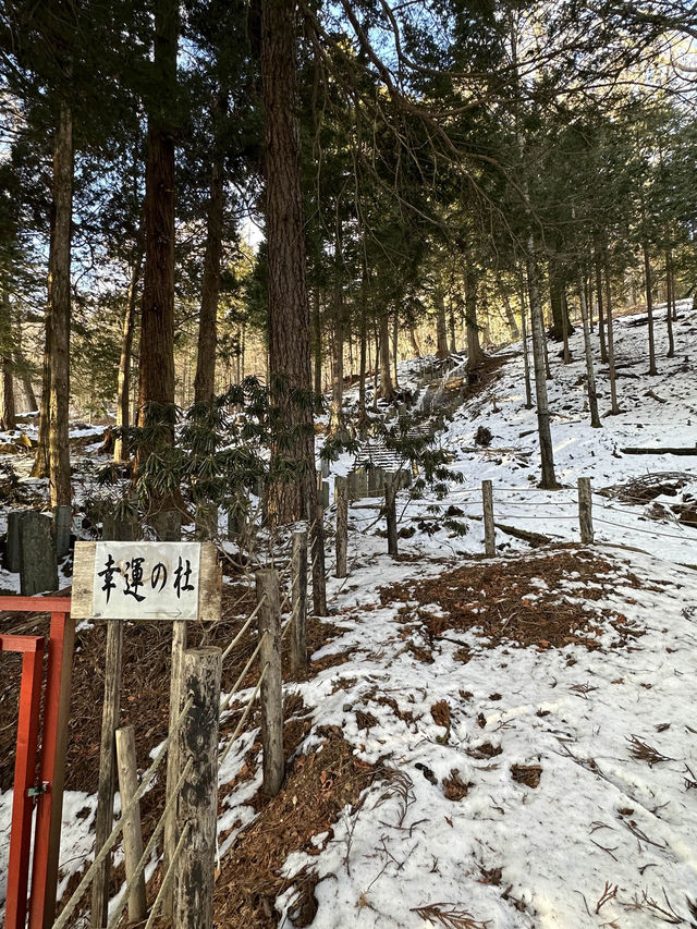 〜栃木県〜冬しか見れない氷の滝!日本一有名な滝の冬景色 〜栃木県〜冬しか見れない氷の滝!日本一有名な滝の冬景色