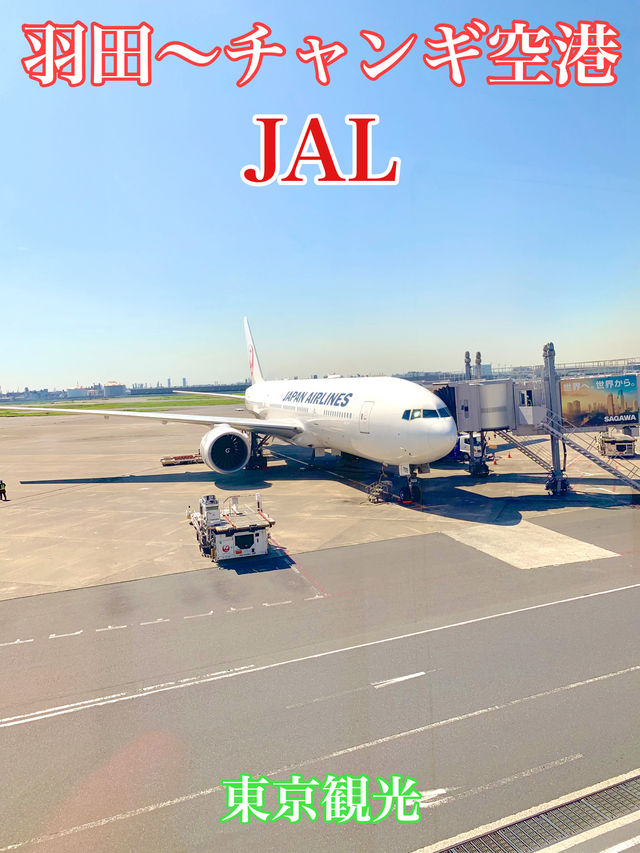 東京　東京観光　JAL便でSingaporeチャンギ国際空港へ快適フライト！