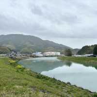 四國遍路+瀨戶內海單車遊