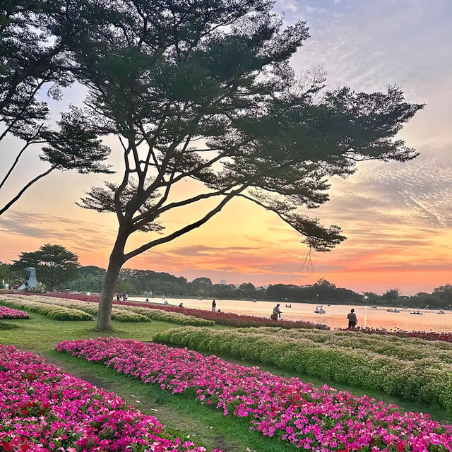 📍🌳 สวนหลวง ร.9 (MRT หัวหมาก สายสีเหลือง)