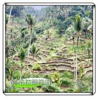德格拉朗梯田-輕鬆拍出壯麗的風景照，世界文化遺產