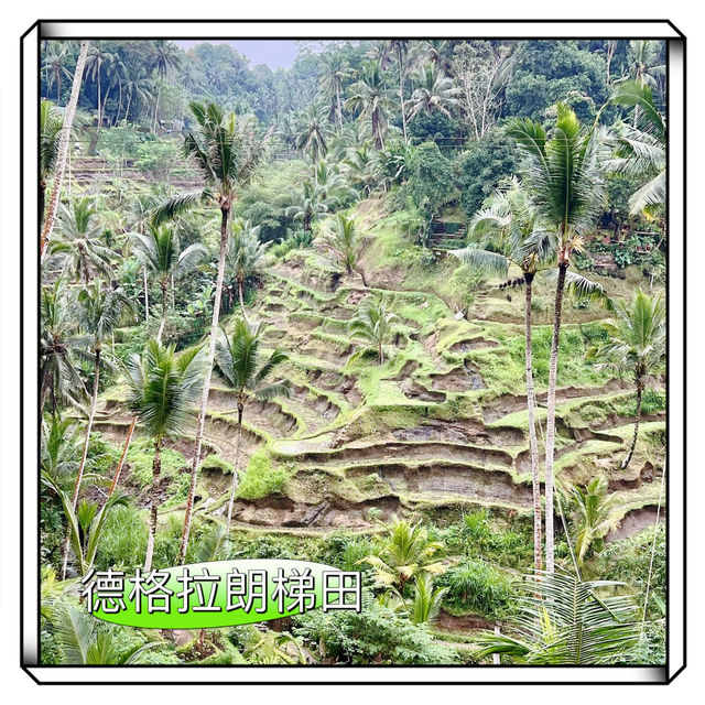 德格拉朗梯田-輕鬆拍出壯麗的風景照，世界文化遺產
