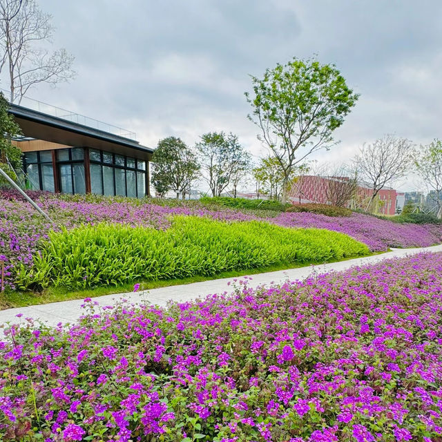 【紫藤園】夢幻紫色花海，身心愉悅