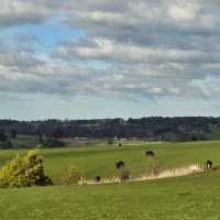 Seaside Serenity: Cowes, Philip Island's Hidden Gem