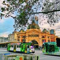 Melbourne's Golden Glow: Autumn's Warm Embrace