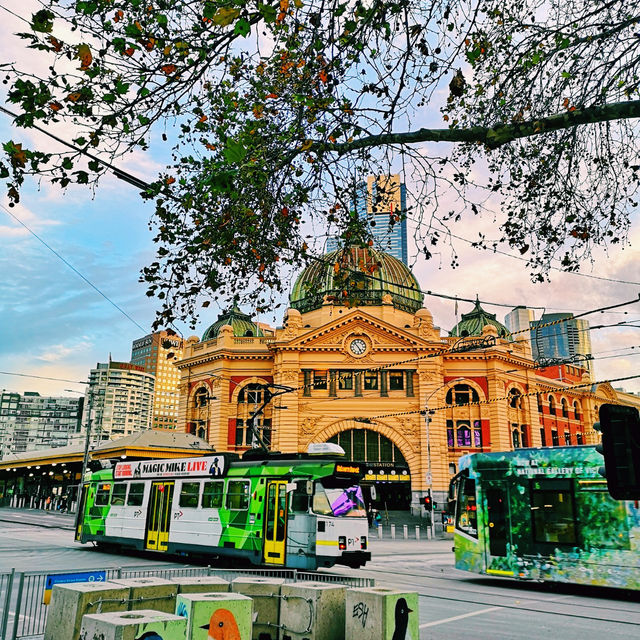 Melbourne's Golden Glow: Autumn's Warm Embrace