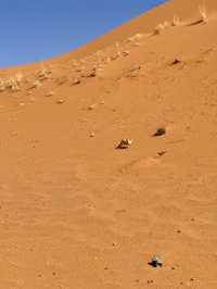 🏜️ Experience the Thrill of Quad Biking in the Merzouga Desert 🏍️