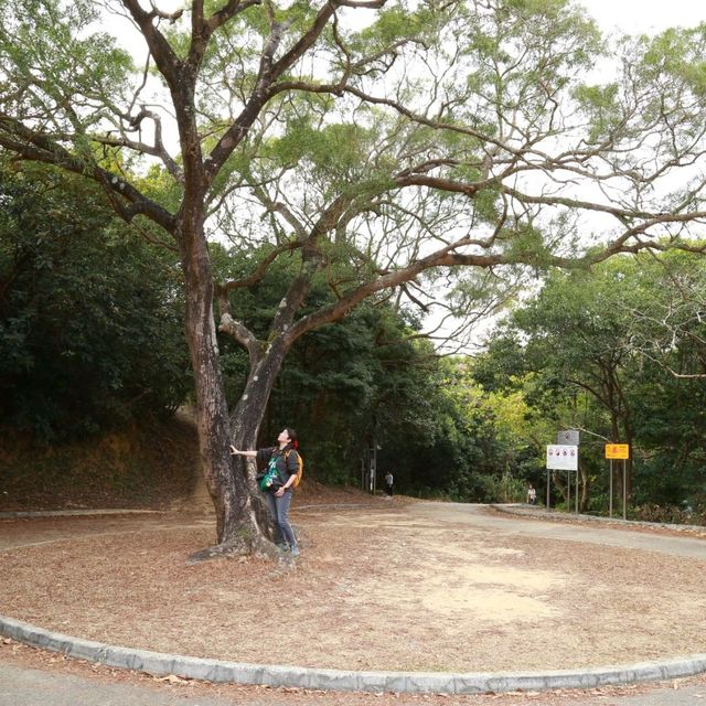 週末好去處 - 河背水塘