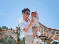 Huahinsafari & Adventure Park