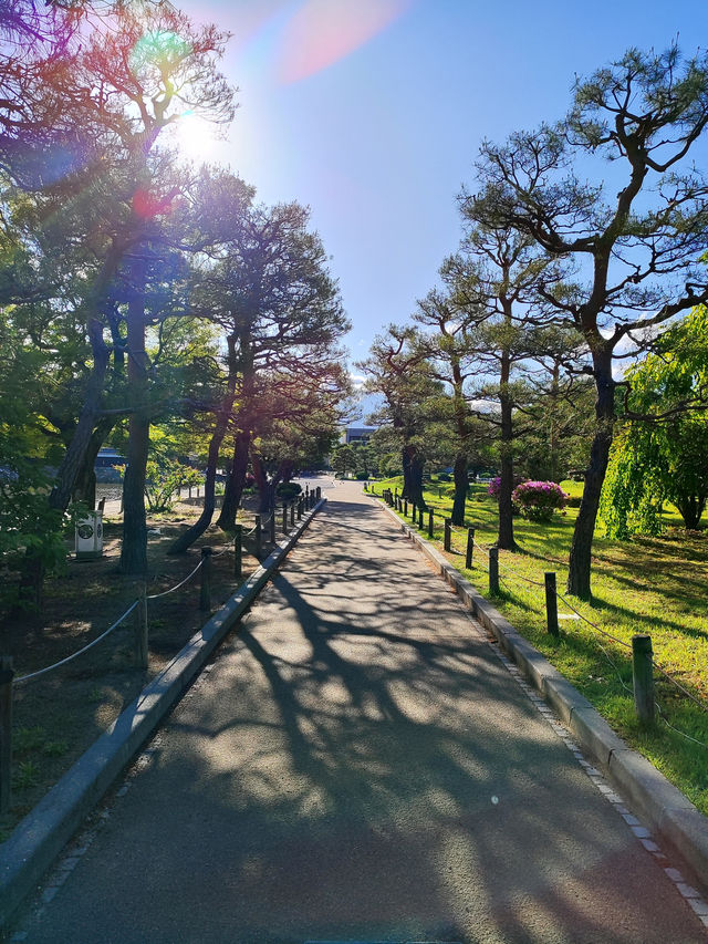 Matsumoto: A Charming City Surrounded by Nature