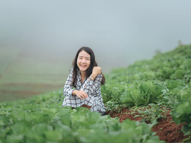 ภูดอย โฮมสเตย์ ม่อนแจ่ม