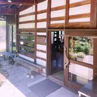 【長野県/茅野　森の中にいるような🌿オシャレなイタリアンレストラン🍽️】