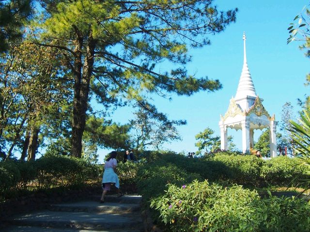 อุทยานแห่งชาติภูเรือ จ.เลย