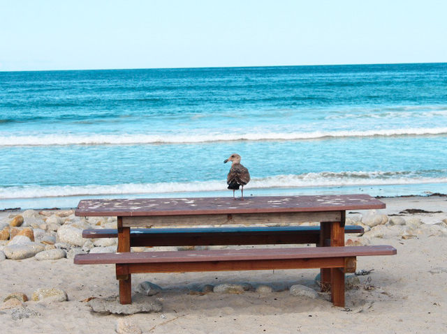 Postcards from 17 Mile Drive, California