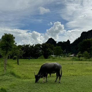 Escape to the Embrace of Mountains at Ban Mung Camp