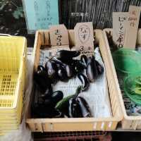 【埼玉】所沢で人気のぶどう狩りスポット🍇「所沢ぶどう園」