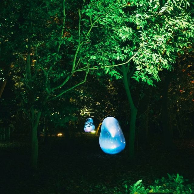 ไปดู Digiata Art สุดเท่ที่ teamLab Osaka กัน