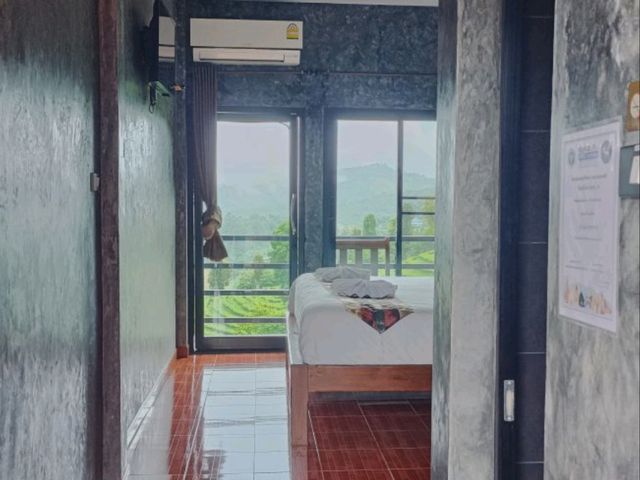 101 Tea Green View|เชียงราย