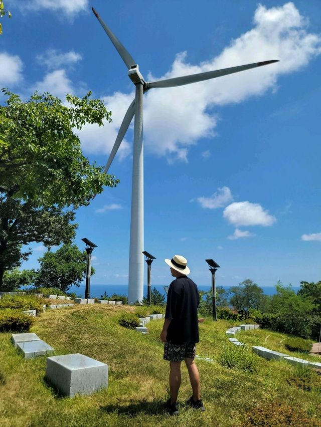 영덕필수여행지로 추천하는 풍력발전소✨️