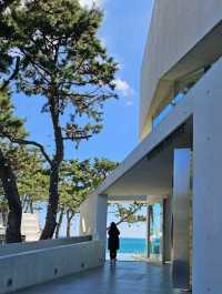 Goregous architecture