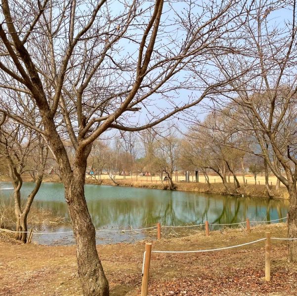 가평가면 꼭 가야하는 데이트 코스는 바로 여기‼️