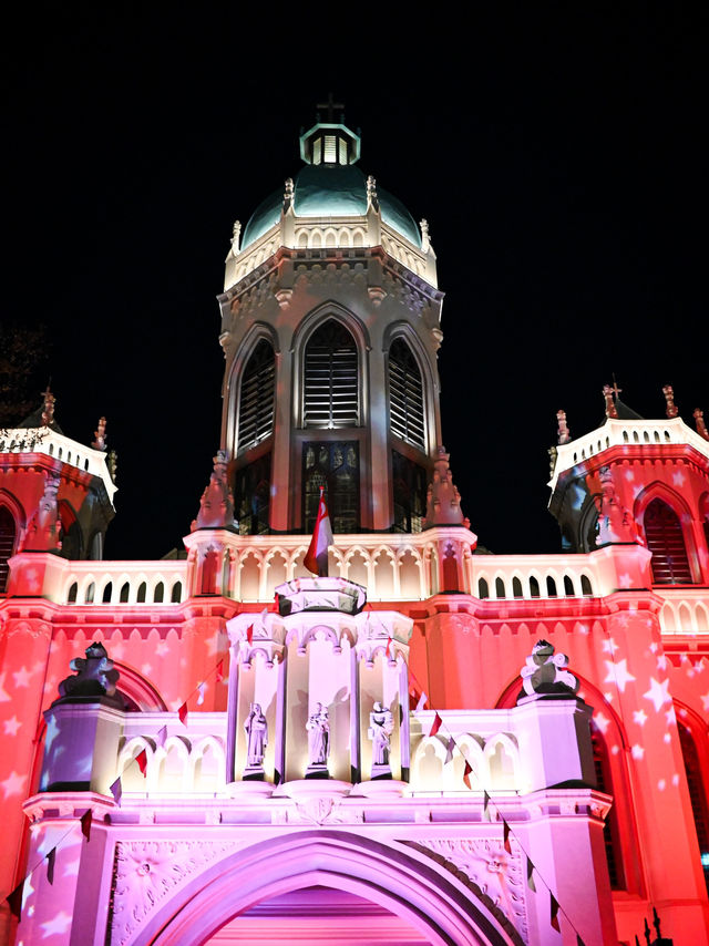 🇸🇬 A Photographic Gem During Singapore Night Festival