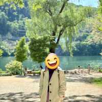 Nami Island: Where Every Angle Is Insta-Gold