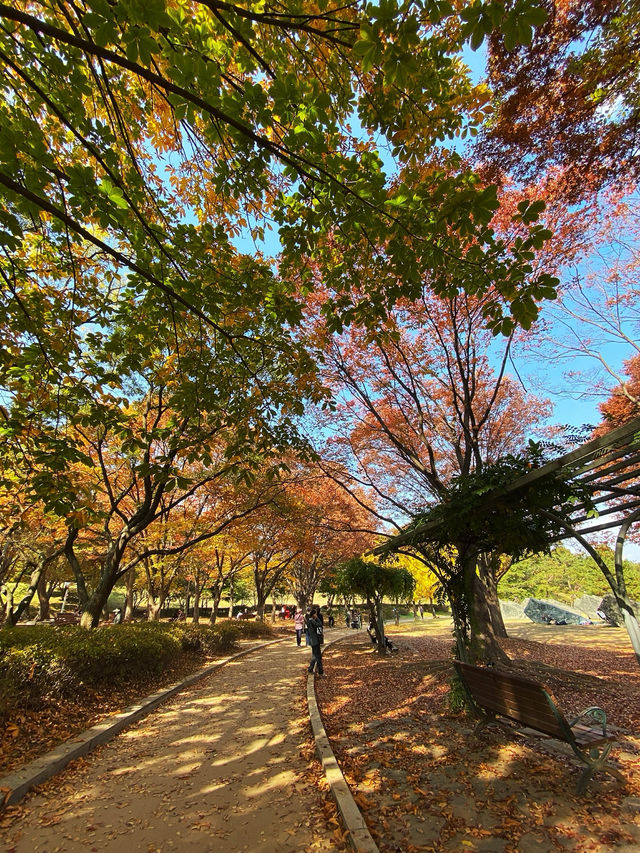 🍂 Colourful Nami Island