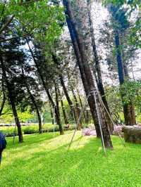 A Peaceful Escape in the City, Shenzhen Lizhi Park