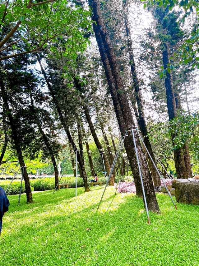 A Peaceful Escape in the City, Shenzhen Lizhi Park