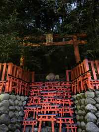 【京都・伏見稲荷】ガイドさんと登る夜の伏見稲荷