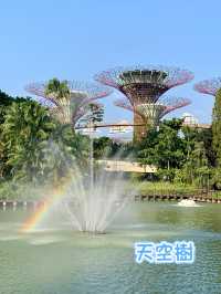 濱海灣花園-新加坡旅遊必到地方，人氣景點𣾀集地