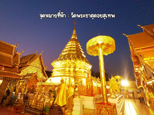 เช่ารถพร้อมคนขับ ตะลุยไหว้พระบนดอย 🚗🍃