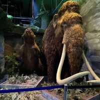 Odysseum – Adventure Museum