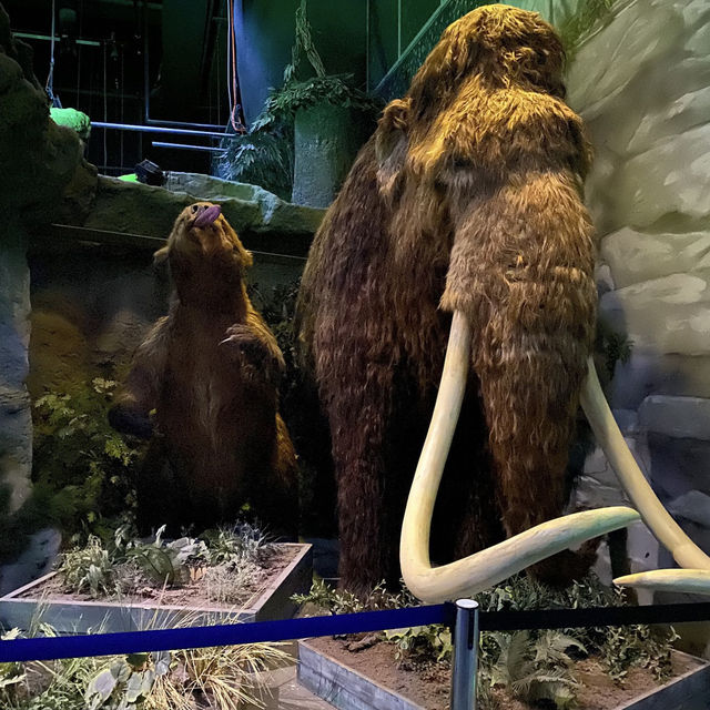 Odysseum – Adventure Museum