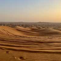 Chasing golden sunsets and endless dunes 🌅🏜️ 
