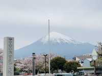 富士山本宮浅間大社