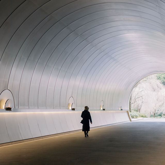 🛣️穿越時光隧道，邂逅 Miho Museum 的奇幻之旅