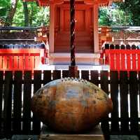 【京都】京都旅 必ず訪れたい京都屈指のパワースポット下鴨神社