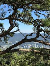 Get your cardio up at Gwanaksan mountain trail!