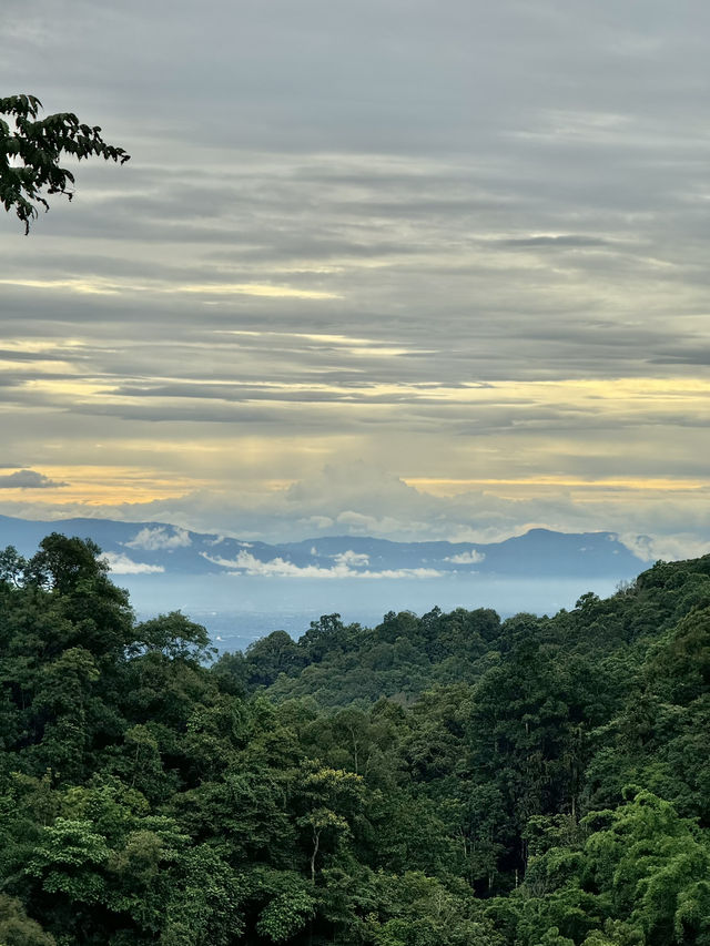 ระเบียงวิว แม่กำปอง |  จ.เชียงใหม่ 🏡⛰️☀️🌳