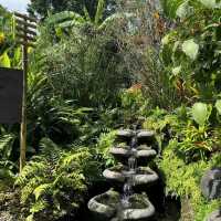 Yoga Paradise in Bali