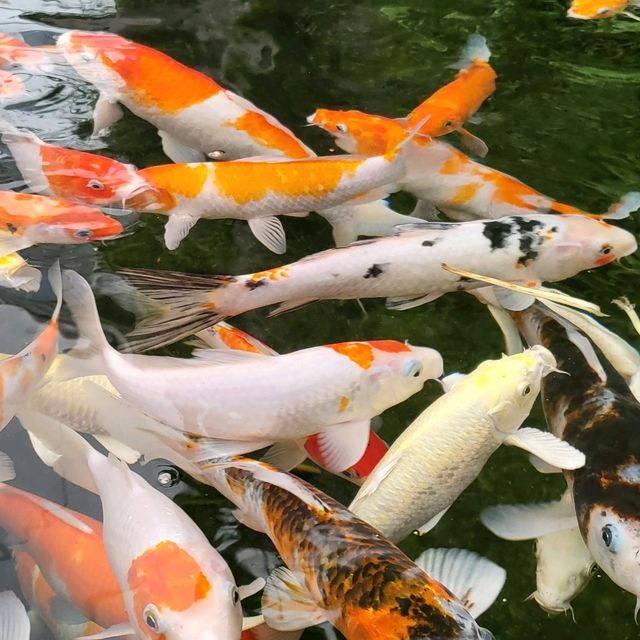 Underwater World Pattaya 