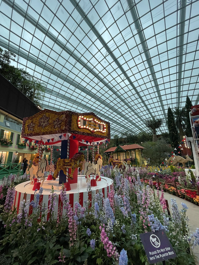 🇸🇬Join the Carnival of Flowers in Flower Dome Singapore ! 