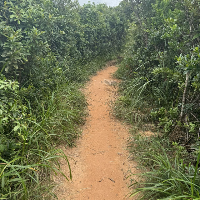 香港🇭🇰龍脊徒步·老少咸宜