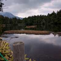 【長野】志賀高原・前山山頂の大自然が広がる絶景
