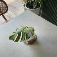 Tewa Cafe อยุธยา: จิบกาแฟในบรรยากาศวัดเก่า