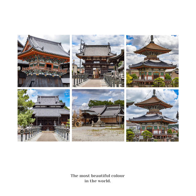 🐲開口神社🌲美麗平靜⛩️✨